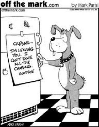 Cartoon about a dog's tail leaving him as it can't take all the chasing